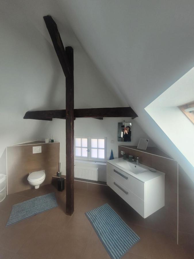 Studio 50M2 Au Bord De L'Eau A Strasbourg Exterior photo